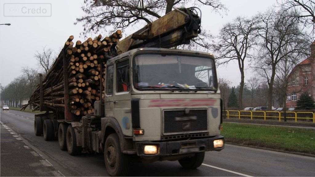 Bild zur Frage: Darf man ein Kind über 150 cm auf dem Vordersitz in der Kabine eines LkWs transportieren?