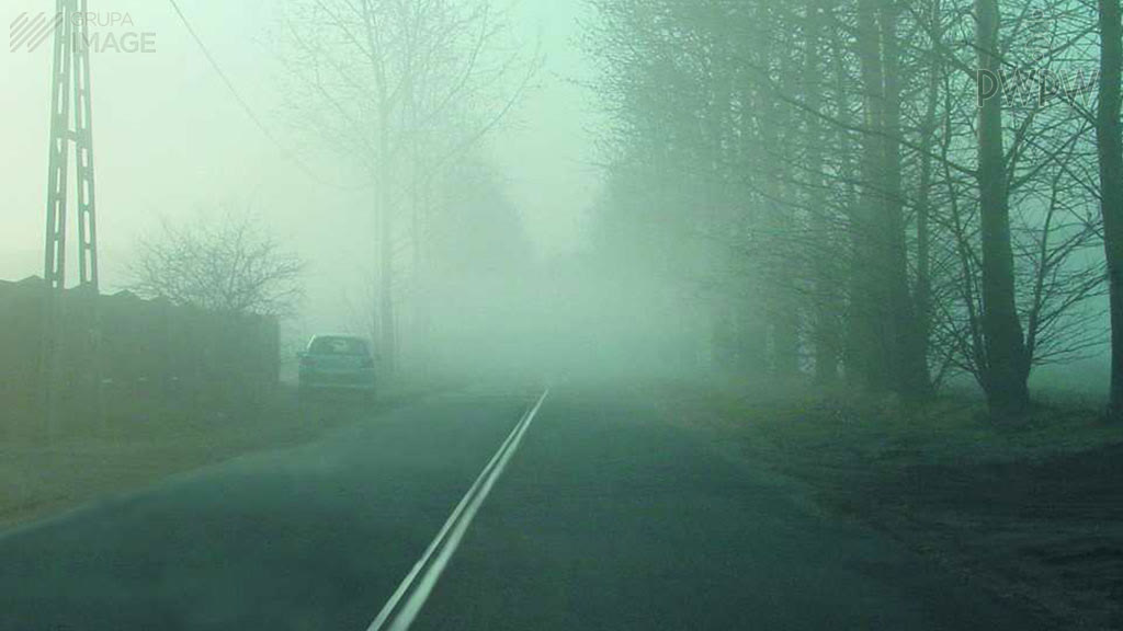 Question illustration: In which of the following cases are you required to give short horn blasts while driving a bus in the fog?