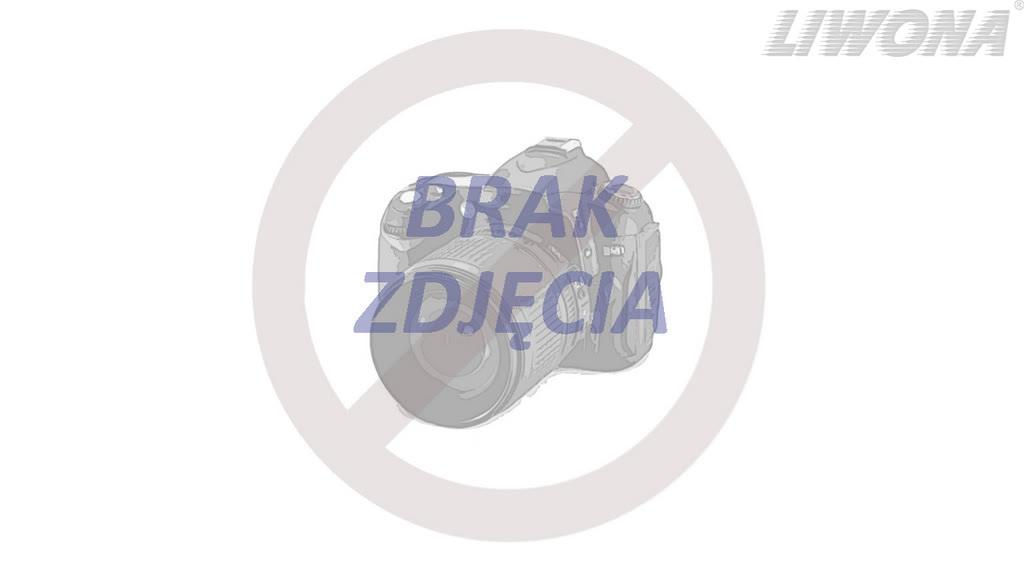 Ilustracja do pytania: Jaki może być objaw pęknięcia przewodu hamulcowego w samochodzie osobowym?