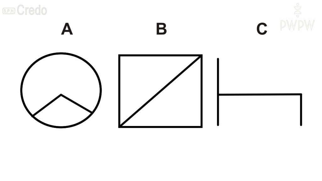 Question illustration: Under which of the symbols shown does the tachograph record intervals during work and daily rest periods?