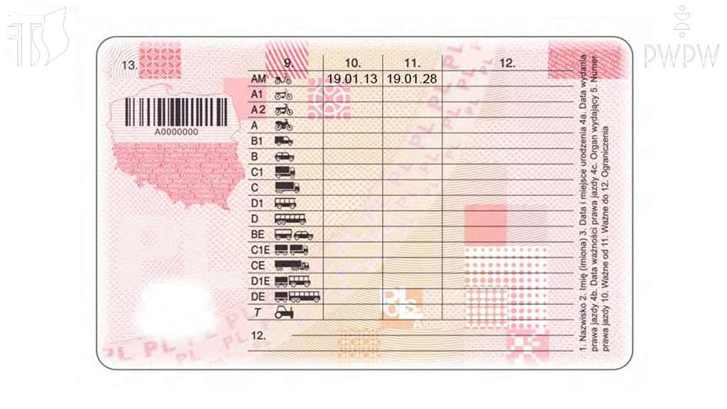 Question illustration: What's the maximum engine power of an electric moped that you can ride if you hold an AM-category driving licence?